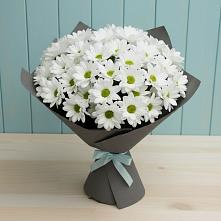 Букет цветов из:  Хризантемы в Красноярке