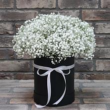 Цветочная композиция из Гипсофила в шляпной коробке в Красноярке