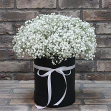 Цветочная композиция из Гипсофила в шляпной коробке в Красноярке