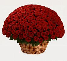 Премиум букет из: Розы в Красноярке