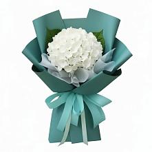 Букет цветов из:  Гортензия #REPLACE_PRED# Красноярке
